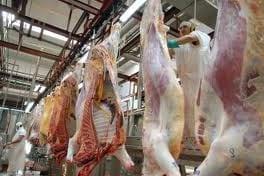 Valor Agregado en la comercialización de la carne - Image 5