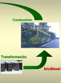 Utilización de aceites vegetales usados para la obtención de Biodiesel - Image 6