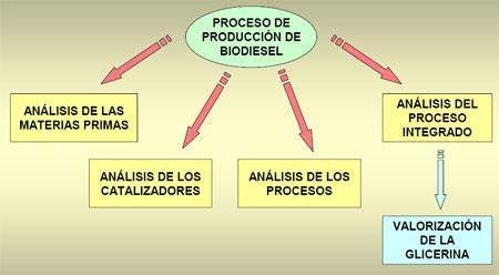 Utilización de aceites vegetales usados para la obtención de Biodiesel - Image 7