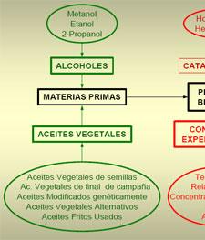 Utilización de aceites vegetales usados para la obtención de Biodiesel - Image 9