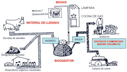 Diseño de Biodigestores - Image 2