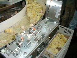 Bioseguridad en granjas avícolas - Image 8