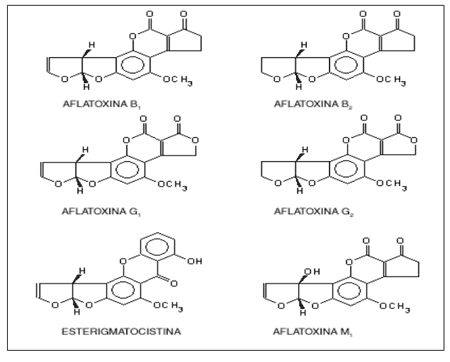 Micotoxinas (Laboratorios Burnet) - Image 1