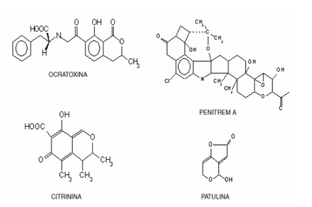 Micotoxinas (Laboratorios Burnet) - Image 3