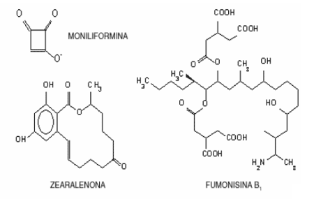 Micotoxinas (Laboratorios Burnet) - Image 4