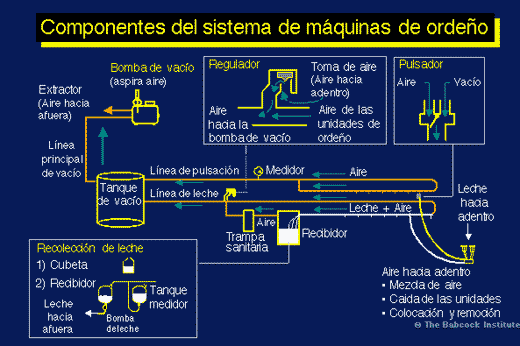 Funcionamiento y Evaluación de Máquinas de Ordeño y su Repercusión en la Mastitis Bovina - Image 1