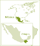 México. El proceso hacia la agroecología de las organizaciones sociales en Chiapas - Image 1