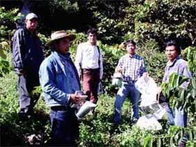 México. El proceso hacia la agroecología de las organizaciones sociales en Chiapas - Image 2