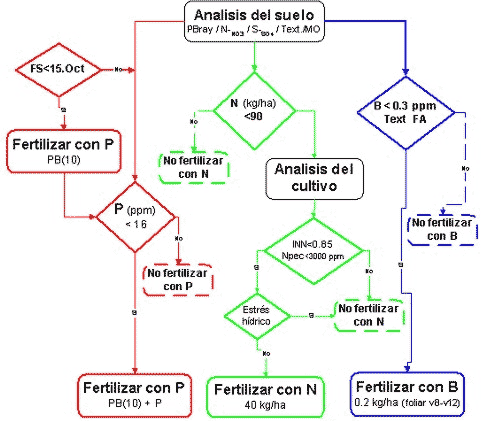 Actualizaciones en fertilización de girasol - Image 6