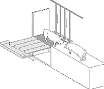 Granja Porcina en Confinamiento - Image 27