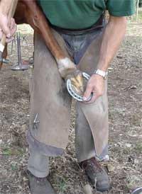 Secuencia del herrado de un caballo - Image 39