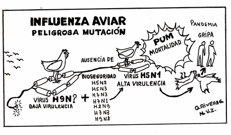 Reflexiones sobre la influenza aviar y las aves migratorias - Image 3