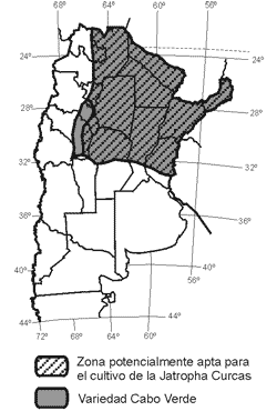 Distribución Potencial del Cultivo de Piñon manso (Jatropha curcas l.) en Argentina - Image 3