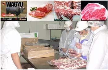Asociación Chilena de Ganado Wagyu: Producción de Carne - Image 1