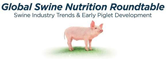 La Mesa Redonda de Nutrición Porcina Global de Novus Forja el Futuro de la Industria Porcina - Image 1