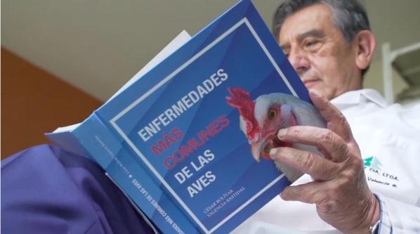 Ecuador - Presentan primer atlas de enfermedades de las aves - Image 1
