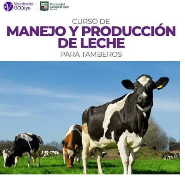 Curso de manejo y producción de leche para tamberos - Image 1