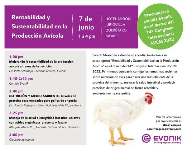 Rentabilidad y Sustentabilidad en la Producción Avícola - Image 1
