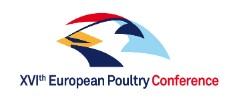 España - XVI Conferencia Avícola Europea - Image 1