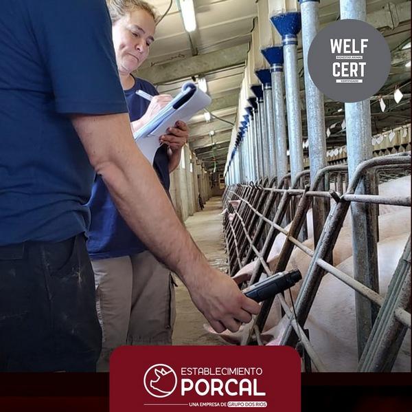 Argentina - Establecimiento Porcal recibe certificación en Bienestar Animal - Image 1