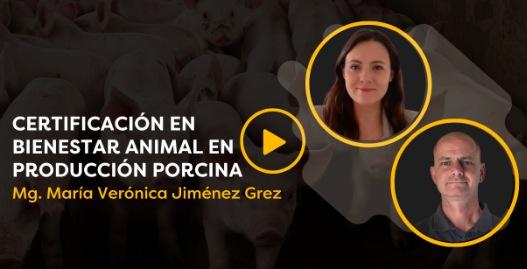 CerdoCast #92 - Certificación en Bienestar Animal en producción porcina - Image 1
