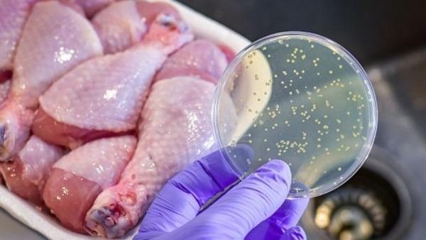 Canadá - Prueba rápida para detectar Salmonella en alimentos - Image 2
