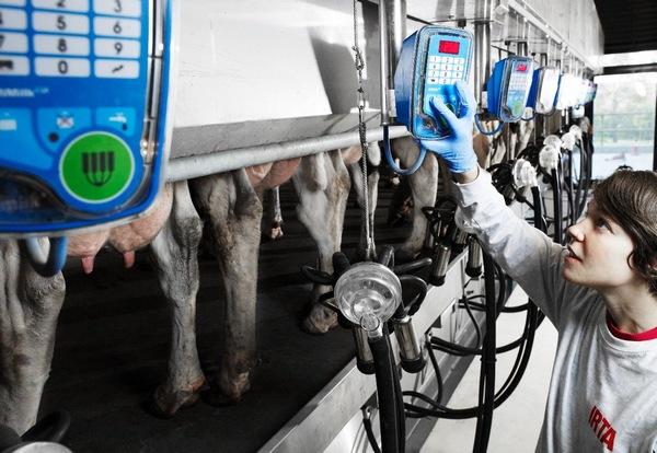 España - Fabricar piensos de proximidad y más digeribles para reducir los impactos ambientales de la ganadería - Image 2