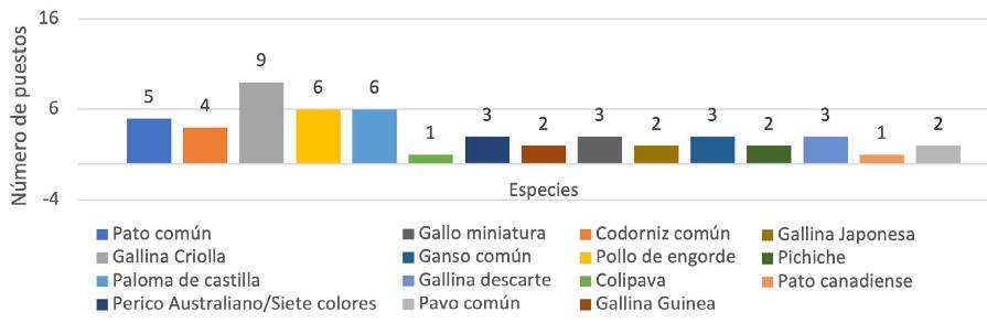 El Salvador - Identifican factores de riesgo asociados a Influenza Aviar y Newcastle en aves vivas que se comercializan - Image 1