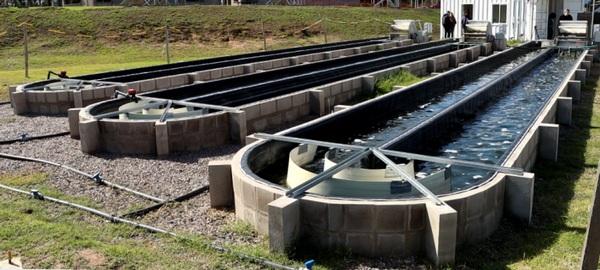 Argentina - Primera planta de tratamiento de aguas con microalgas - Image 2