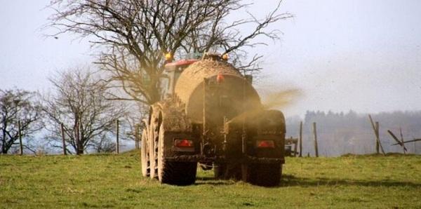 España - Aplicar aditivos reduciría gases contaminantes de los purines de cerdo - Image 1
