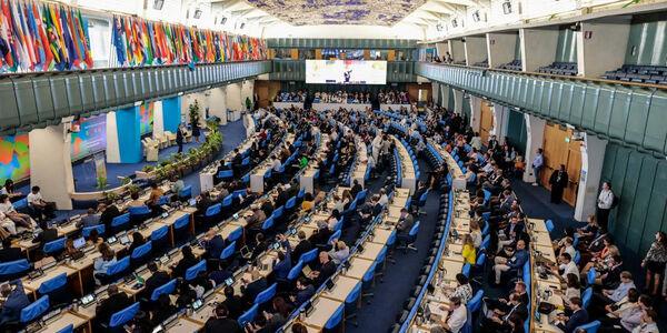 Conferencia Mundial de la FAO sobre la Transformación Sostenible de la Ganadería - Image 2