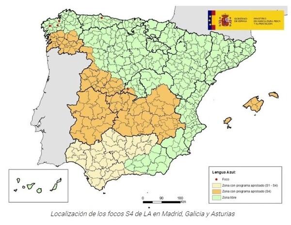 España - Detectan la circulación del Serotipo 4 del virus de la lengua azul en La Coruña, Asturias y Madrid - Image 1
