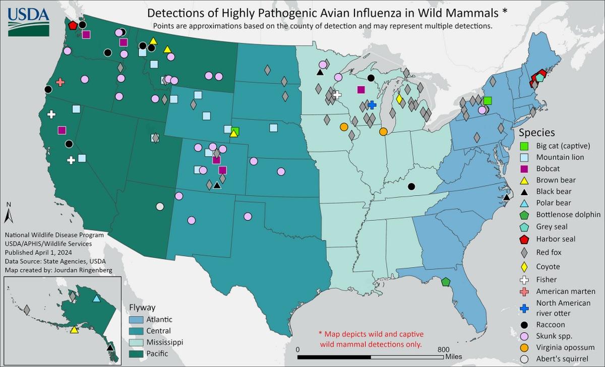 EE.UU. - Influenza aviar H5N1: Resumen de la situación actual - Image 1