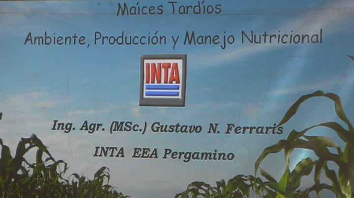 Maíces Tardíos, Manejo Nutricional. Gustavo Ferraris (INTA)