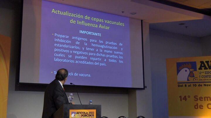 Actualización de cepas vacunales de Influenza Aviar