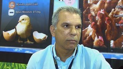 Lesiones asociadas con micotoxinas en mataderos avícolas