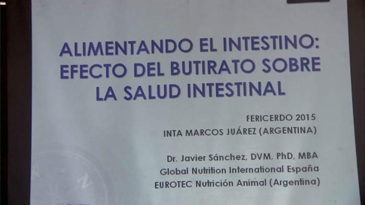 Cerdos: Efecto del Butirato sobre la Salud Intestinal