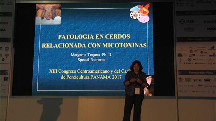 Patología en cerdos asociada con micotoxinas