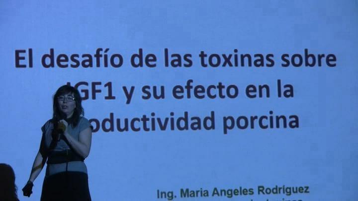 El desafío de las toxinas sobre IGF1 y su efecto en la productividad porcina