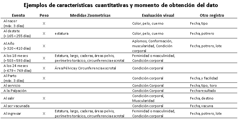 Evaluación de los rebaños - Image 3