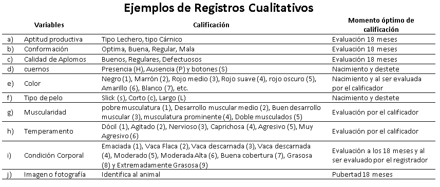 Evaluación de los rebaños - Image 1