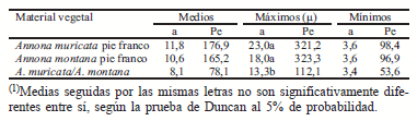 Crecimiento y topología de la ramificación de la guanábana y el manirote - Image 2
