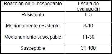 Evaluación de la tolerancia del germoplasma de maní (arachis spp.) para el manejo del carbón thecaphora frezii - Image 1