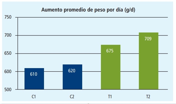 Destetar lechones sin usar antibióticos - Image 4