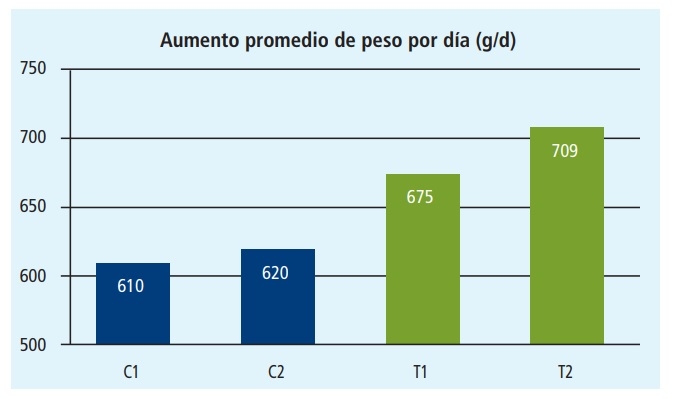 Destetar lechones sin usar antibióticos - Image 3