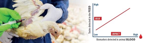 Myco-Marker: conociendo la exposición real a las micotoxinas a través del análisis de sangre - Image 1