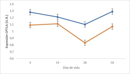Metionina – más que leche: Programación nutricional - Image 3