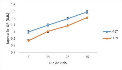 Metionina – más que leche: Programación nutricional - Image 5