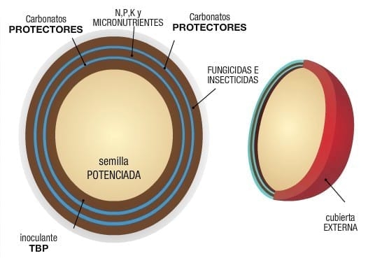 Tratamiento de Semilla: Barpower - Image 2