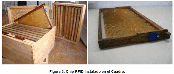 Trazabilidad en el agro y sus herramientas - Image 3